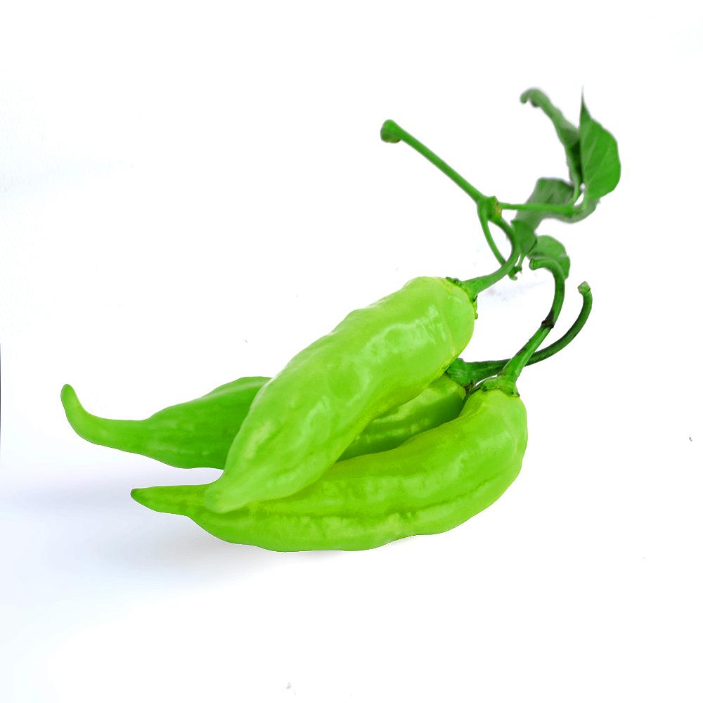 AJI FRESCO VERDE EMBALADO 1 K UNIDAD