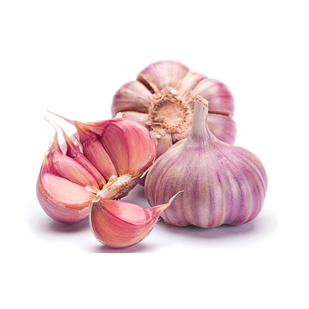 AJO FRESCO ROSADO UNIDAD