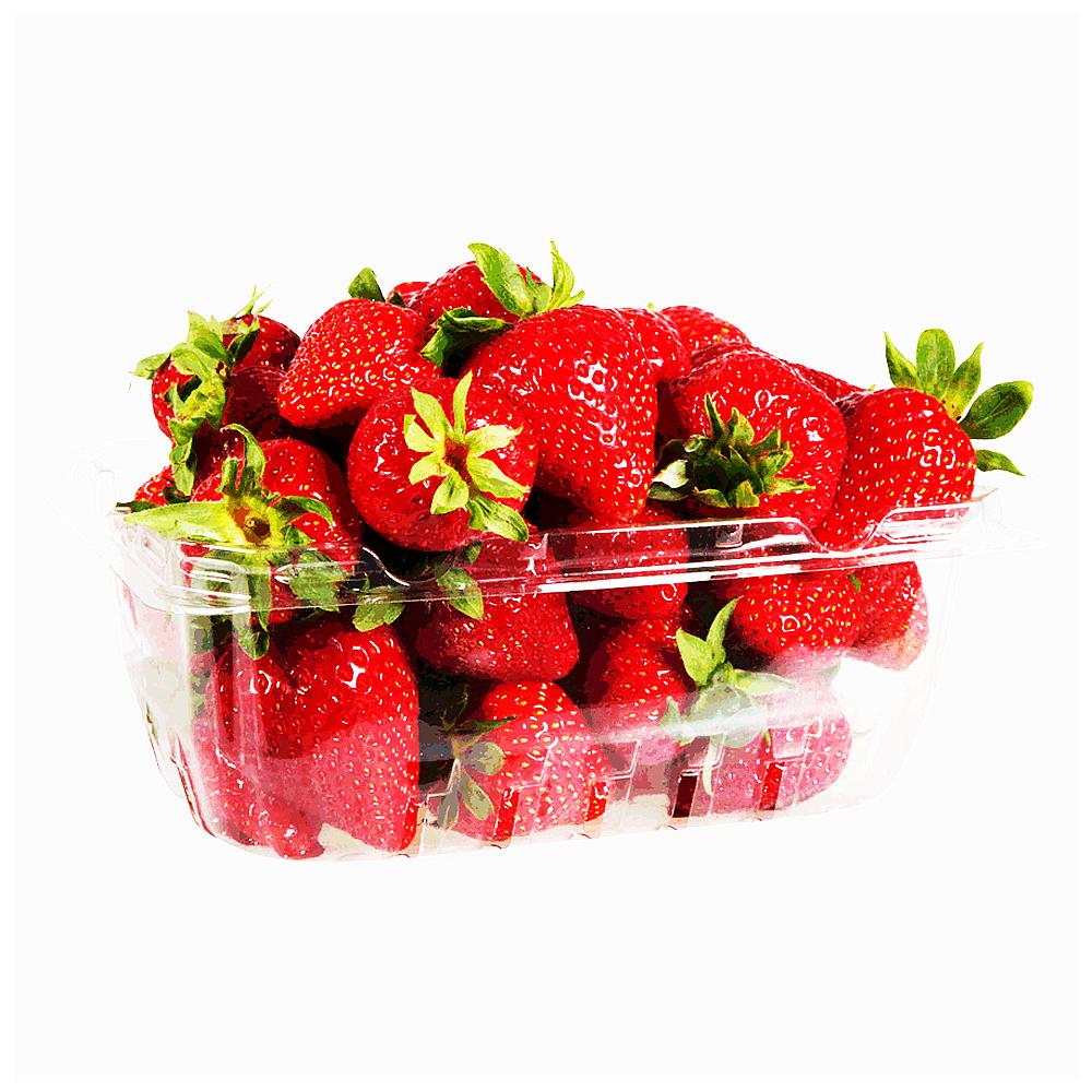 FRUTILLA ENVASADA CAJA 1 K APROX. UNIDAD