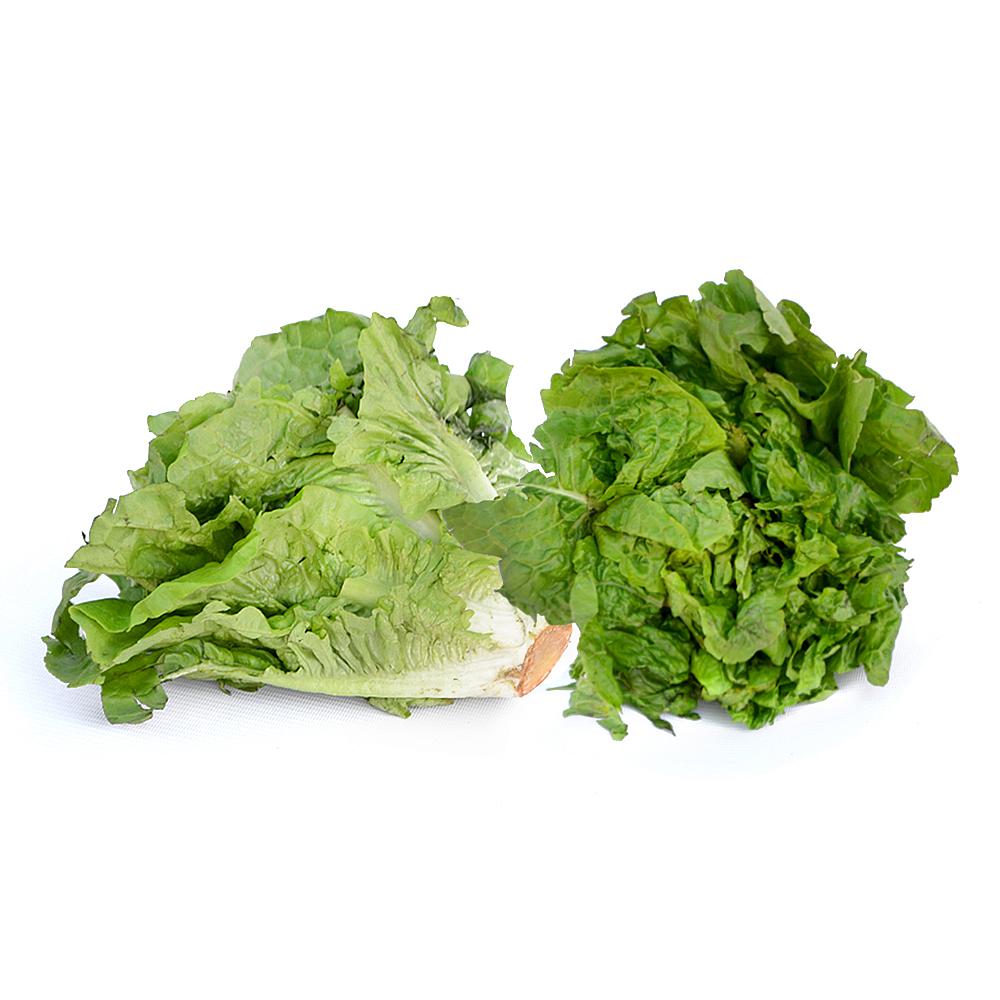 LECHUGA FRESCA MILANESA EMBALADA UNIDAD