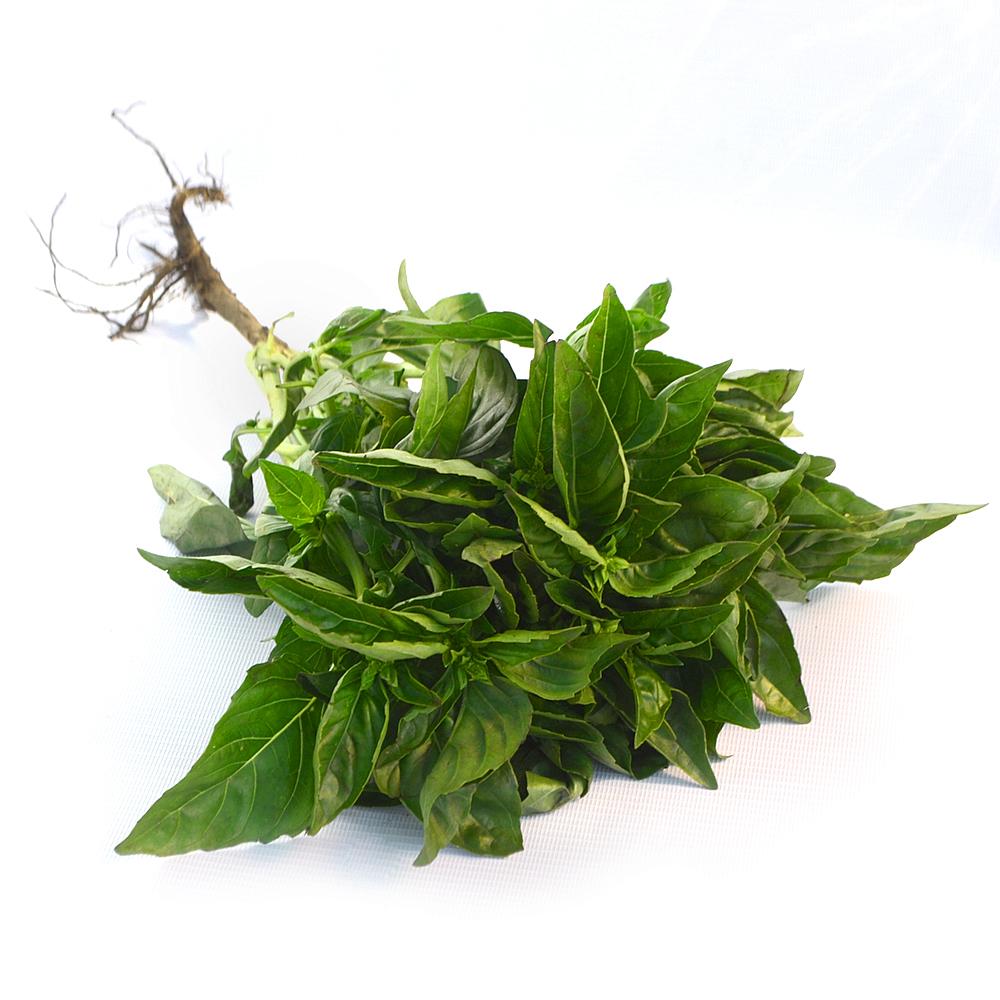 ALBAHACA PROCESADA BOLSA 500 GR UNIDAD