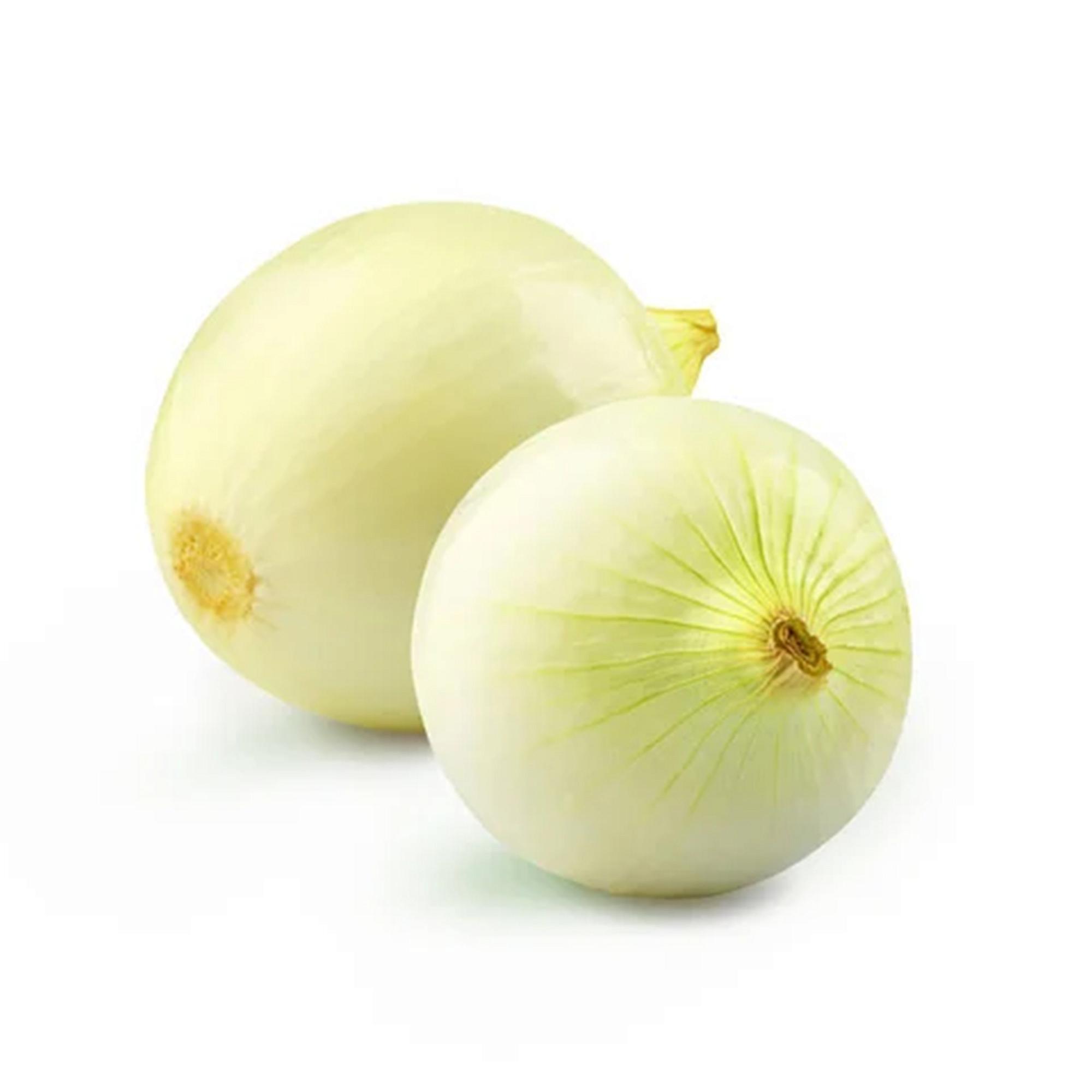 CEBOLLA FRESCA PROCESADA BLANCA EMBALADA 1 K APROX. UNIDAD