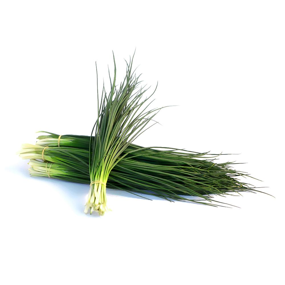 CIBOULETTE FRESCO PROCESADO PAQUETE APROX. 500 GR UNIDAD