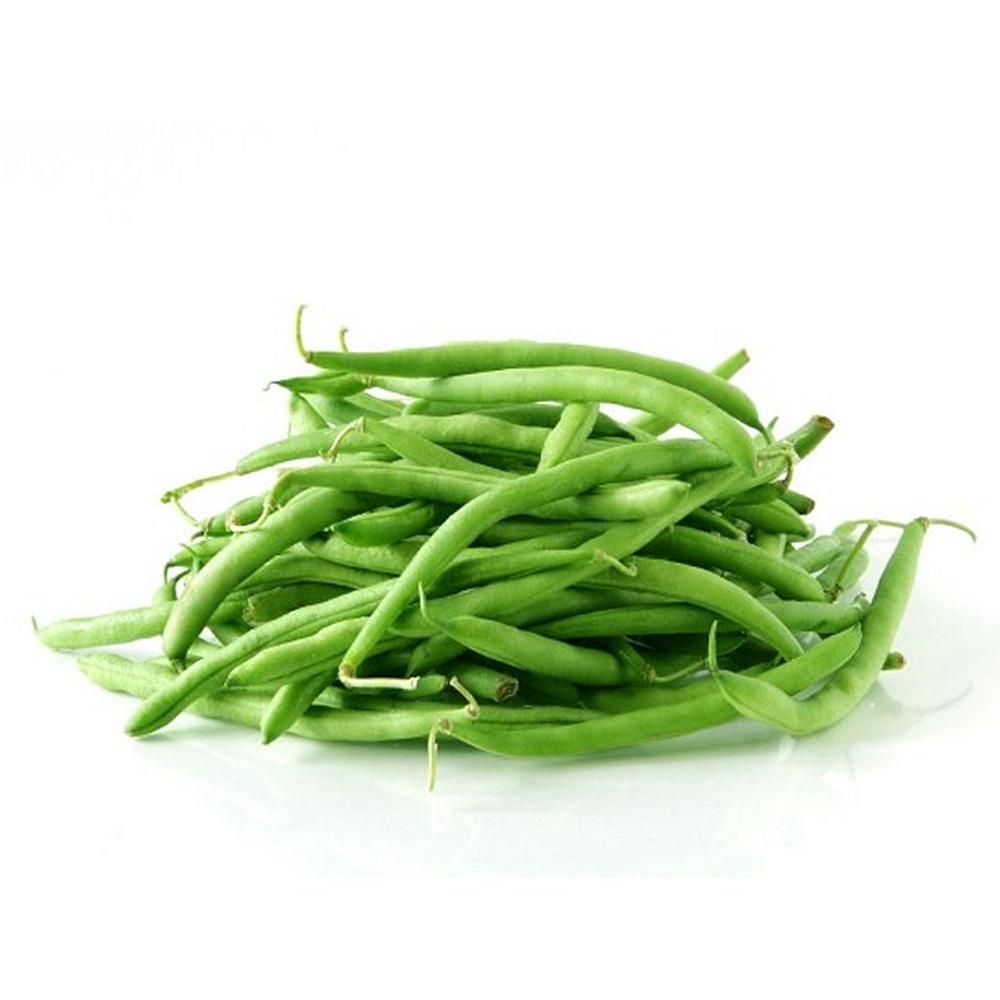 POROTO VERDE BRIO 1K
