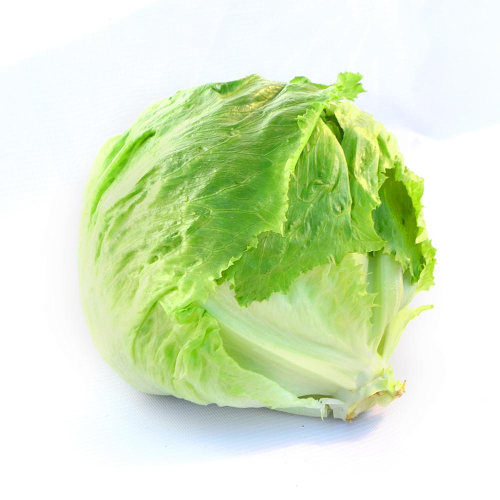LECHUGA FRESCA ESCAROLA EMBALADA UNIDAD